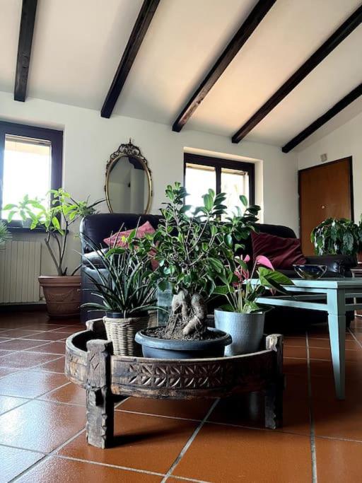 Apartment In Villa La Carruba Rivergaro Buitenkant foto