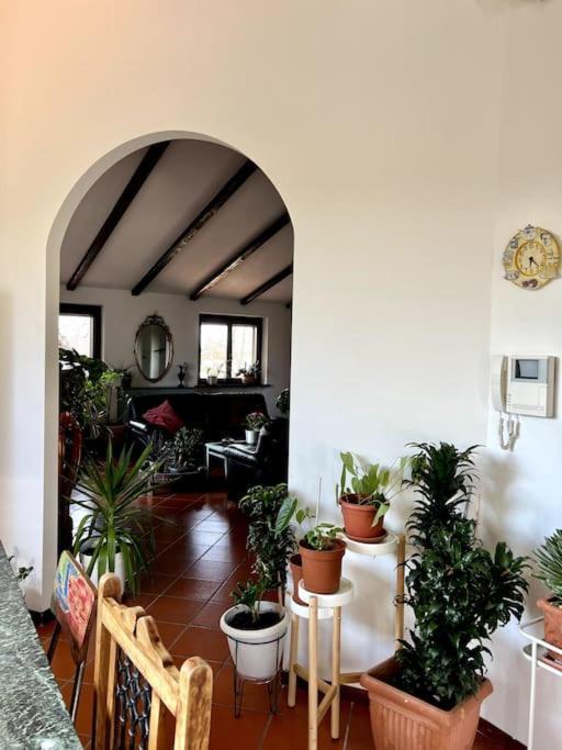 Apartment In Villa La Carruba Rivergaro Buitenkant foto